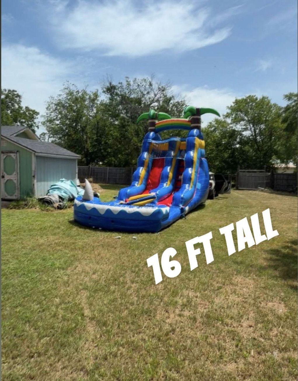 IMG 0219